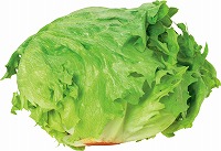 国内産 レタス 1個