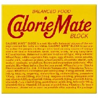 大塚　カロリーメイト　ブロックチョコ ４本